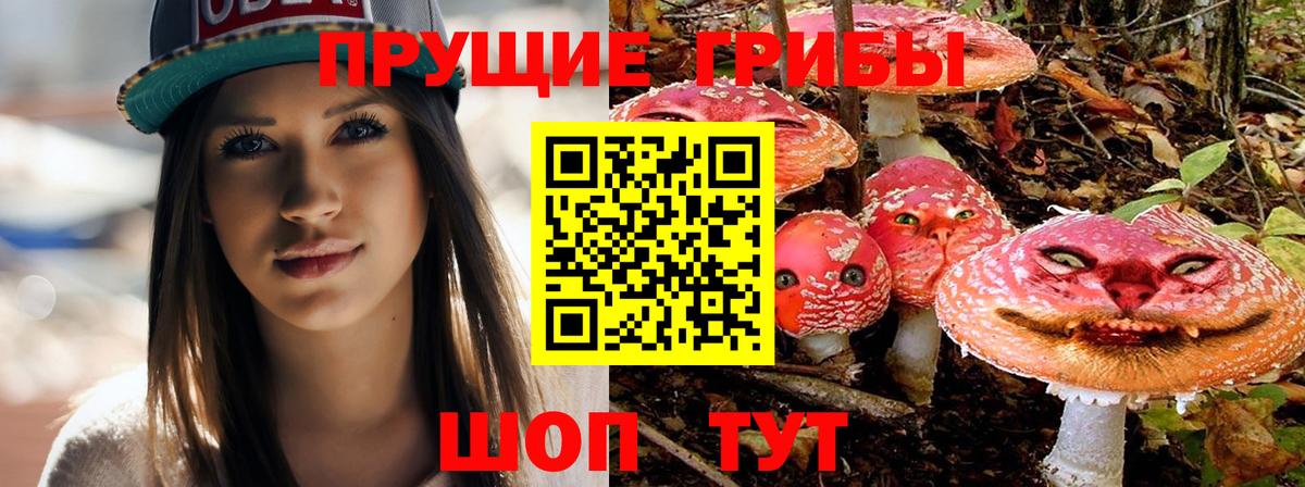 Галлюциногенные грибы мухоморы Богородицк
