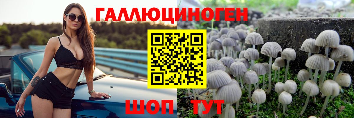 как найти   Галлюциногенные грибы мицелий  Галлюциногенные грибы мухоморы  Вход с VPN  Богородицк 